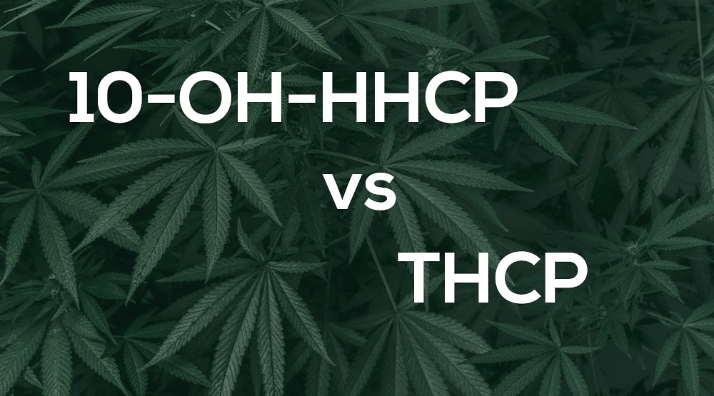 10-OH-HHCP_vs_THCP_Schriftzug_auf_Hintergrund_mit_Cannabisblättern