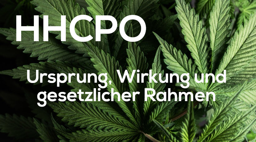 HHCPO - Ursprung, Wirkung und gesetzlicher Rahmen