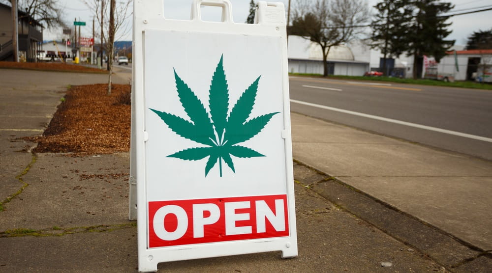 Open Schild mit Cannabis Blatt