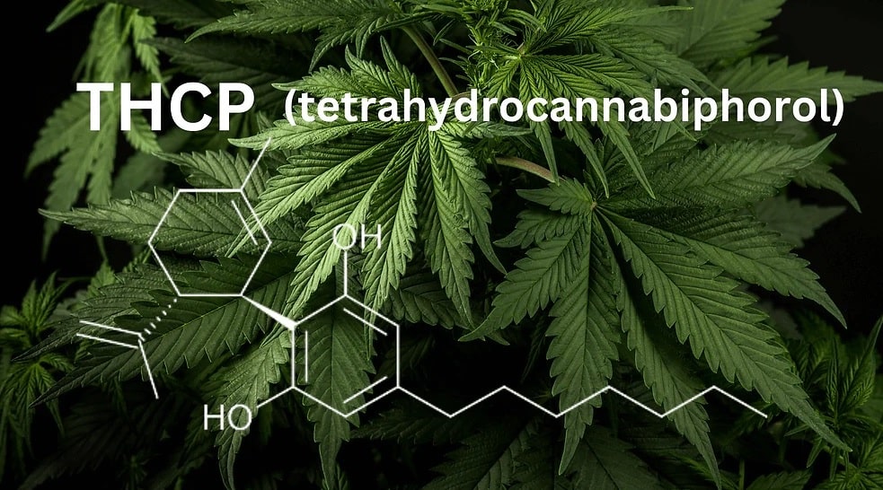 THC-P Schriftzug mit Abbildung der molekularen Struktur