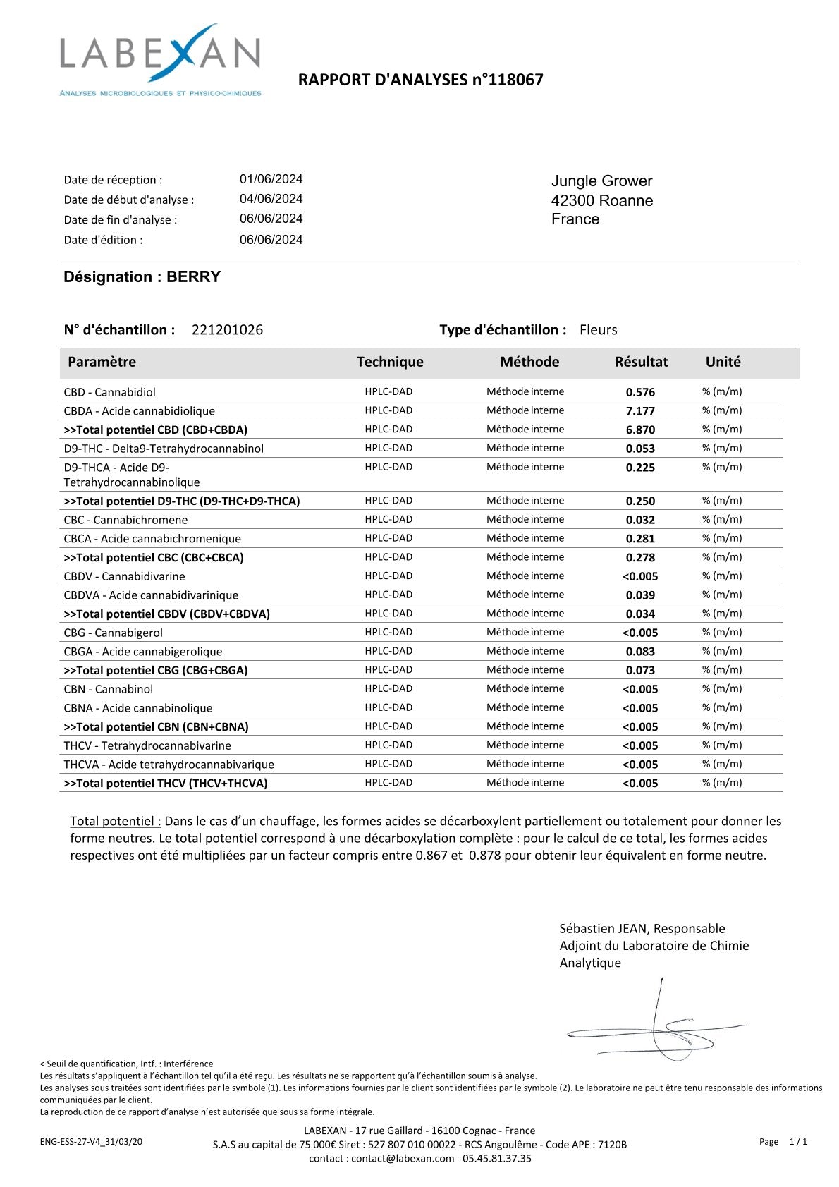 Berry Outdoor Analysebericht