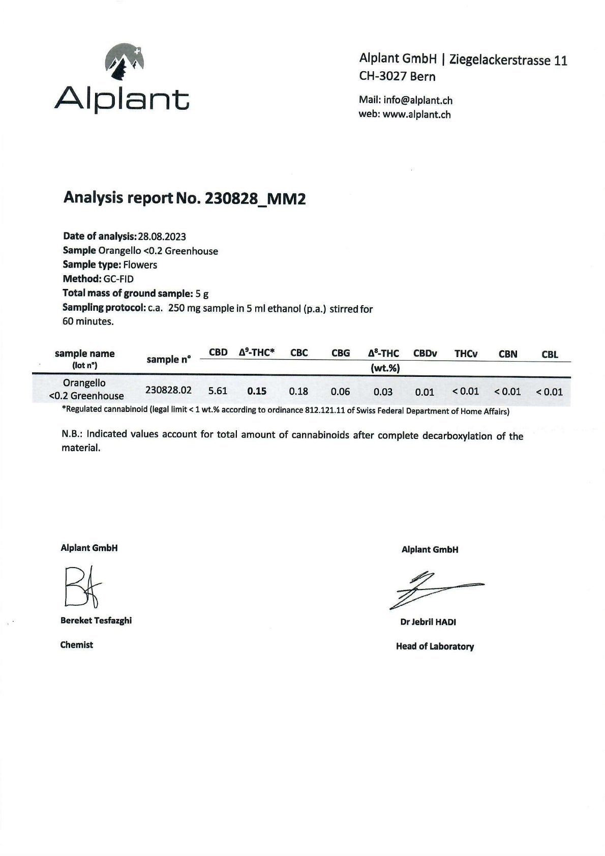 Orangello Analysebericht