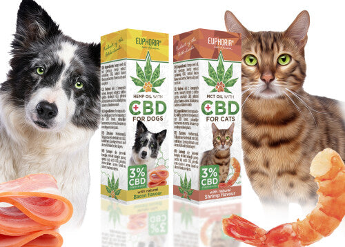 CBD Oil for Dogs - Bacon Flavor - 3% CBD - 10ml